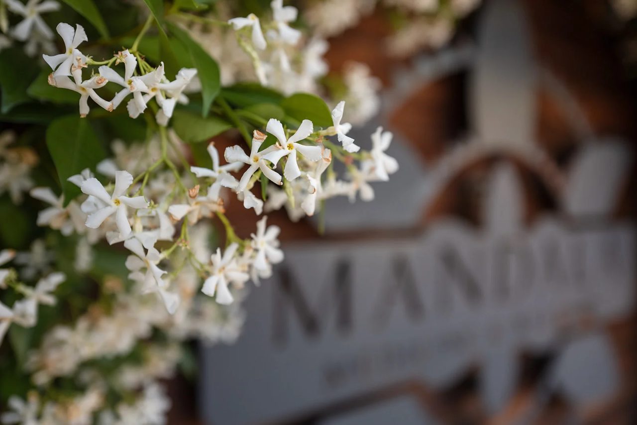 Star jasmine in bloom along the wall outside Mandala Medicine, the clinic sign soft in the background.