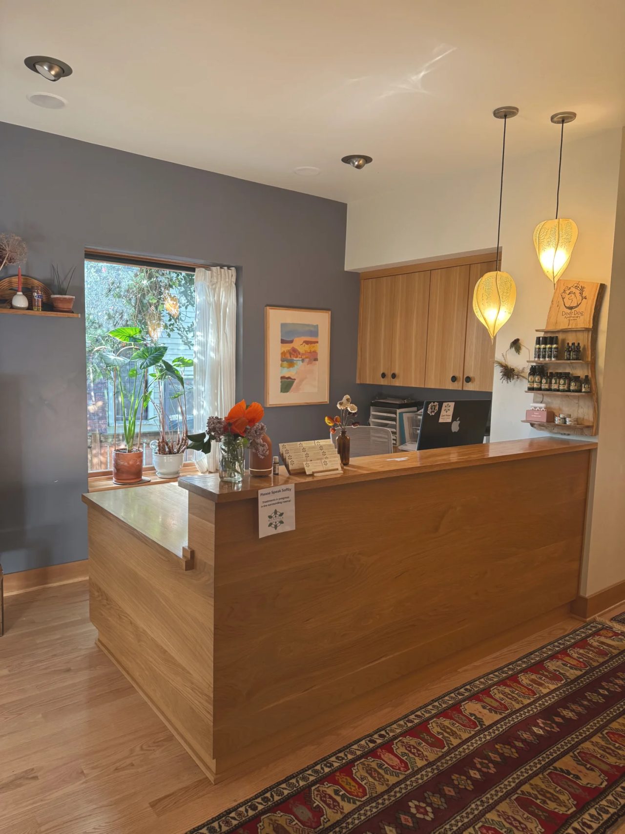 The front desk: a wooden counter under two paper pendant lamps, a window full of plants and a framed print on a slate-blue wall.