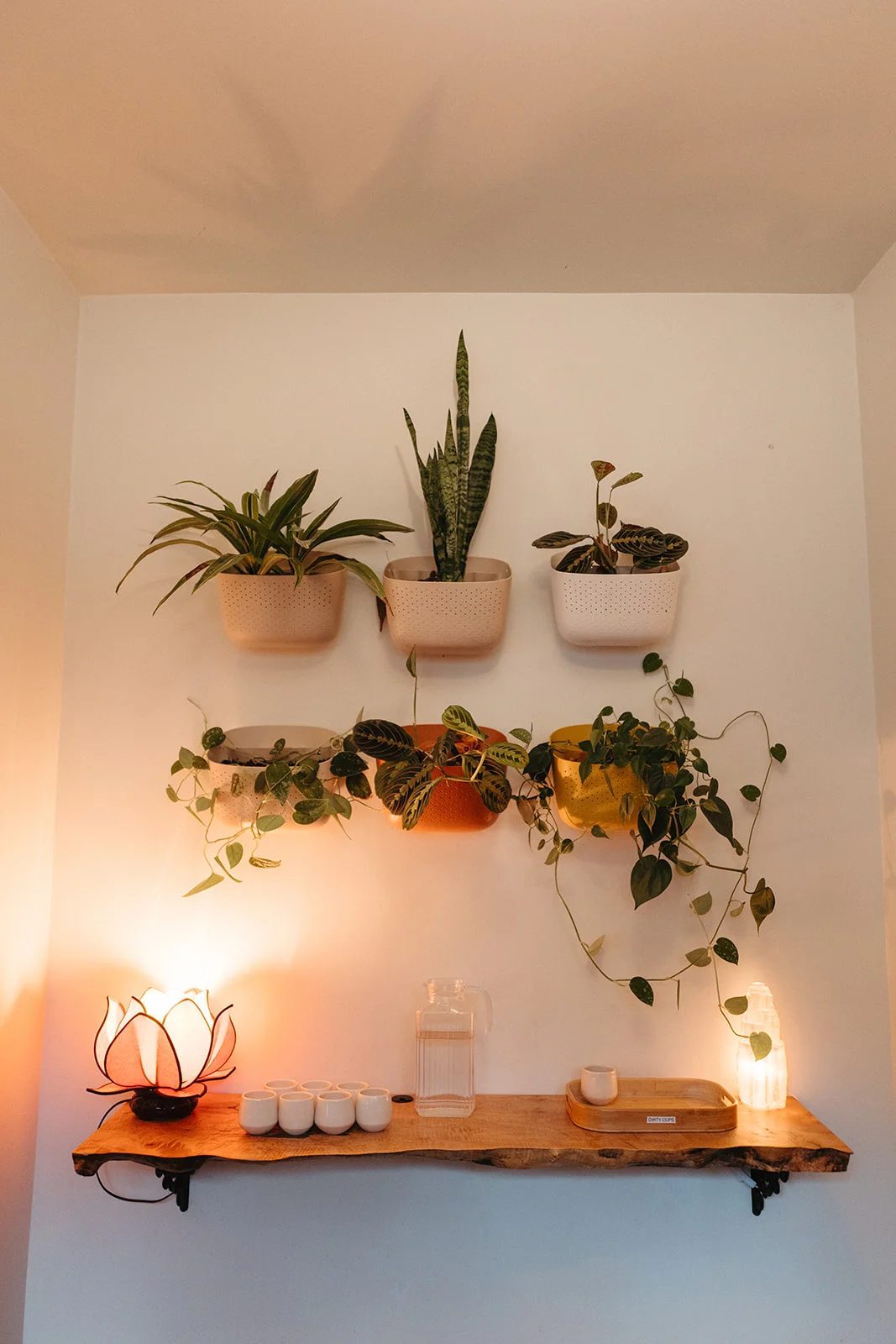 Wall-mounted planters with trailing greenery above a wooden shelf holding a lotus lamp, small cups and a water carafe.